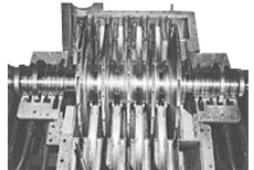 type B 5 -C